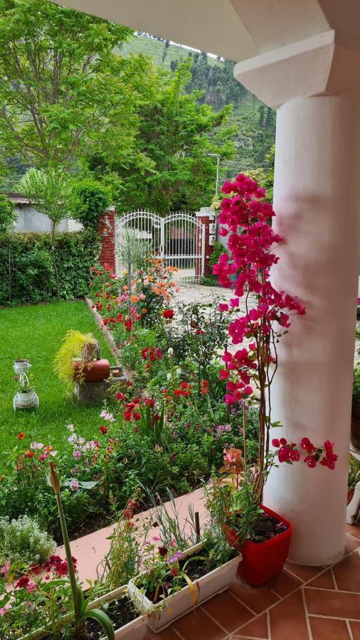 Veranda B&B Берат Екстер'єр фото