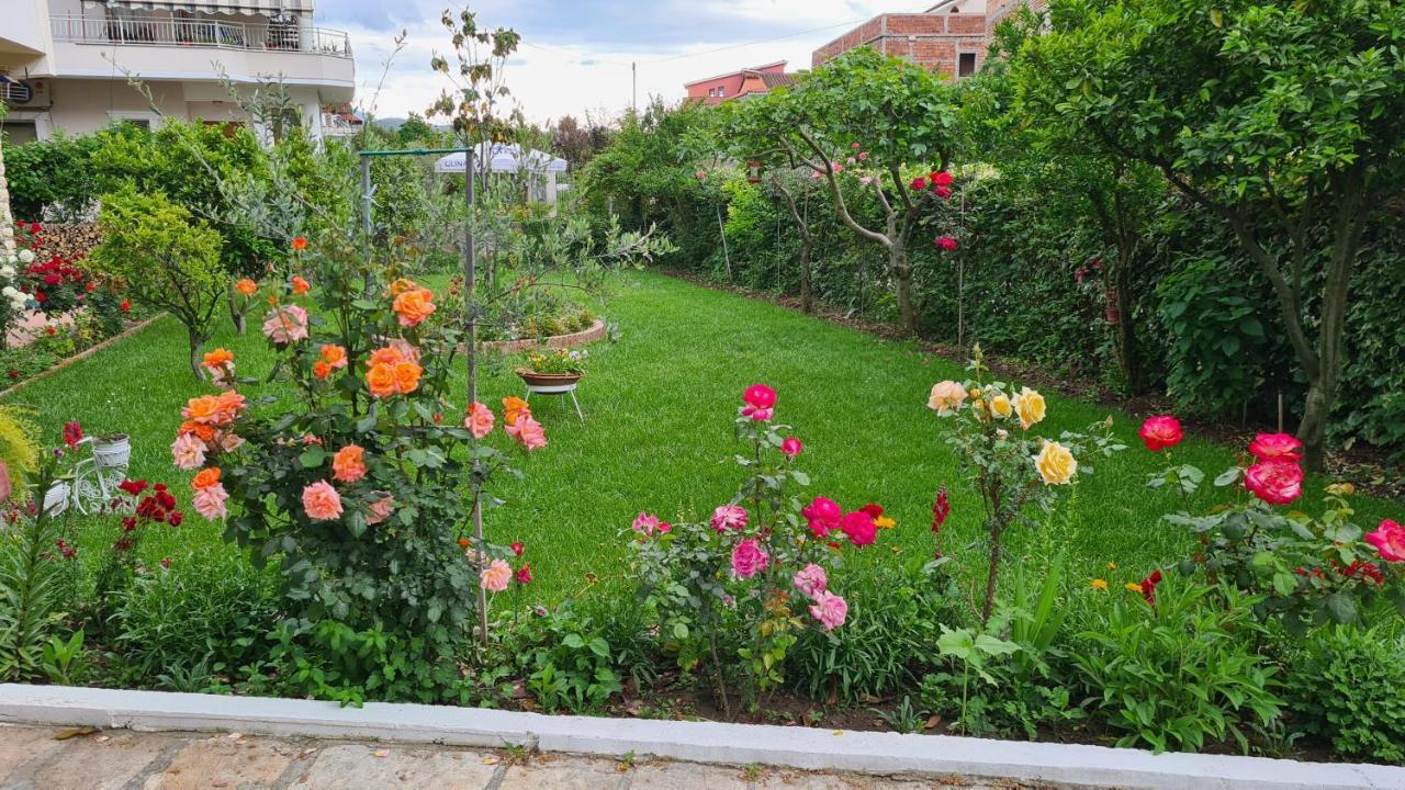 Veranda B&B Берат Екстер'єр фото